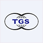 Tgs Dış Ticaret A.Ş.